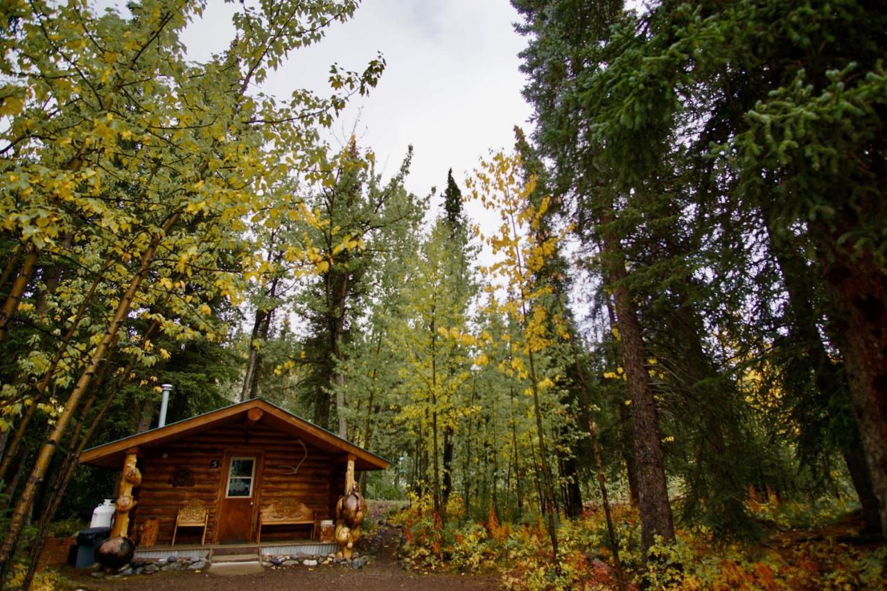 Carlo Creek Lodge Denali Park